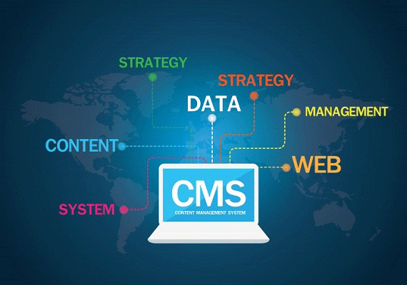 Software CMS, ERP & CRM